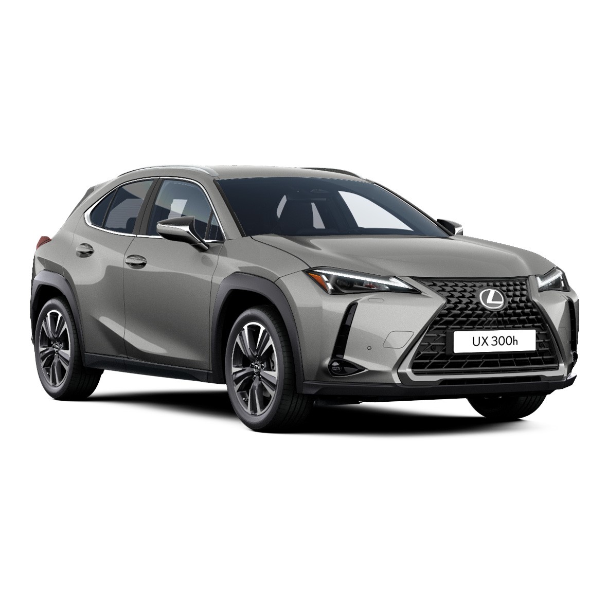 Lexus UX 300h Comfort Plus