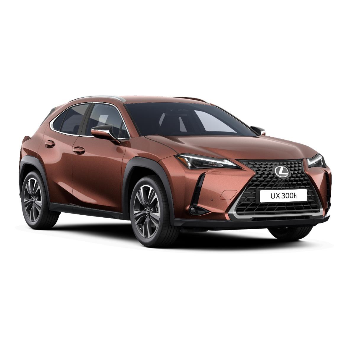 Lexus UX 300h Comfort Plus